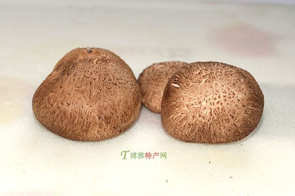 广灵香菇